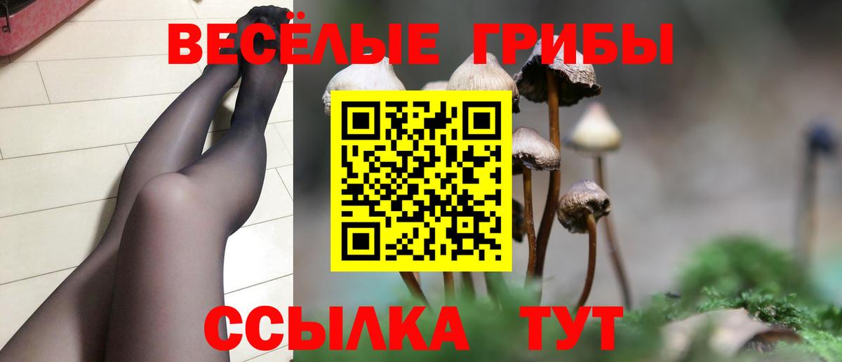 Галлюциногенные грибы Cubensis Егорьевск
